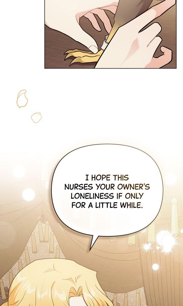 Read Finding Camellia Manga Online