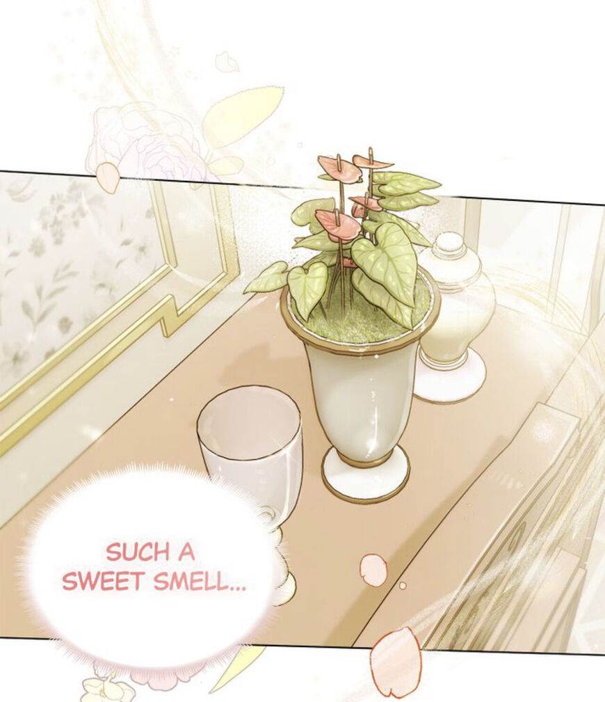 Read Finding Camellia Manga Online