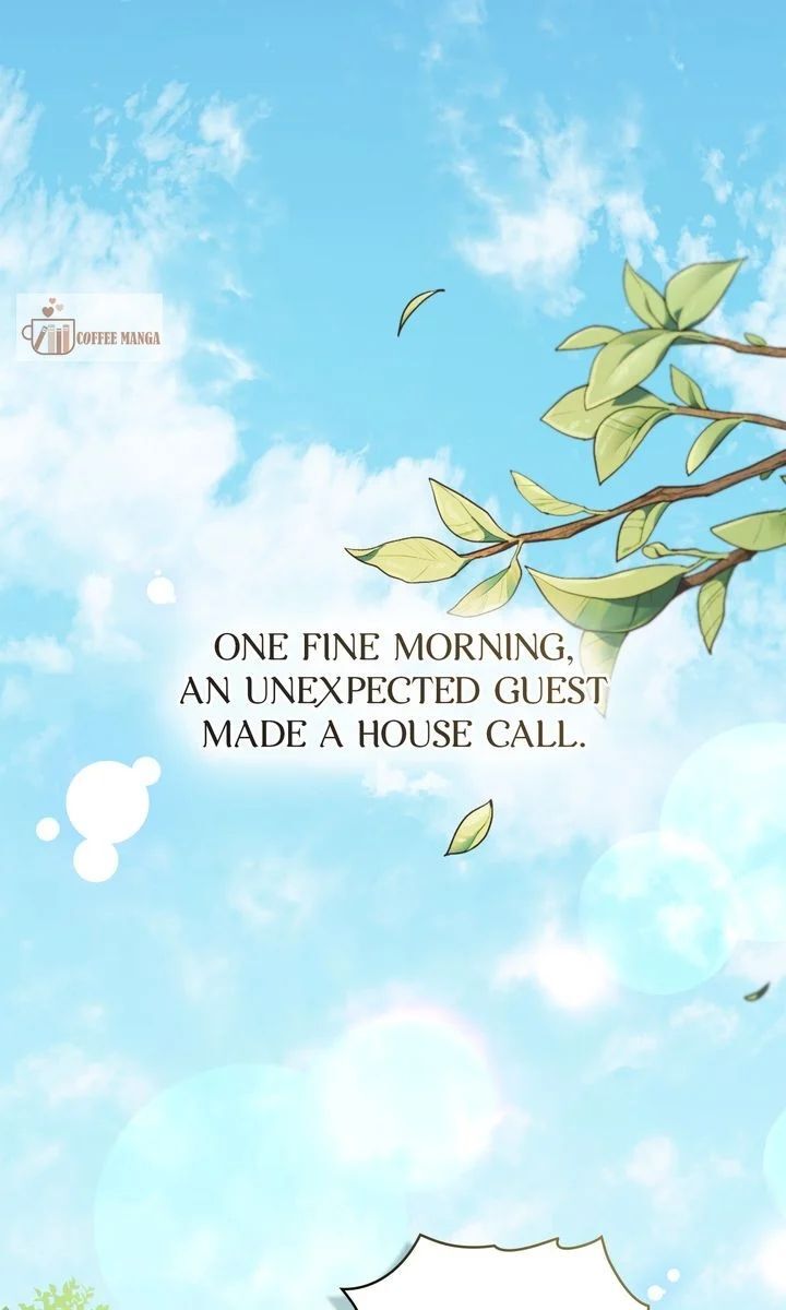 Read Finding Camellia Manga Online