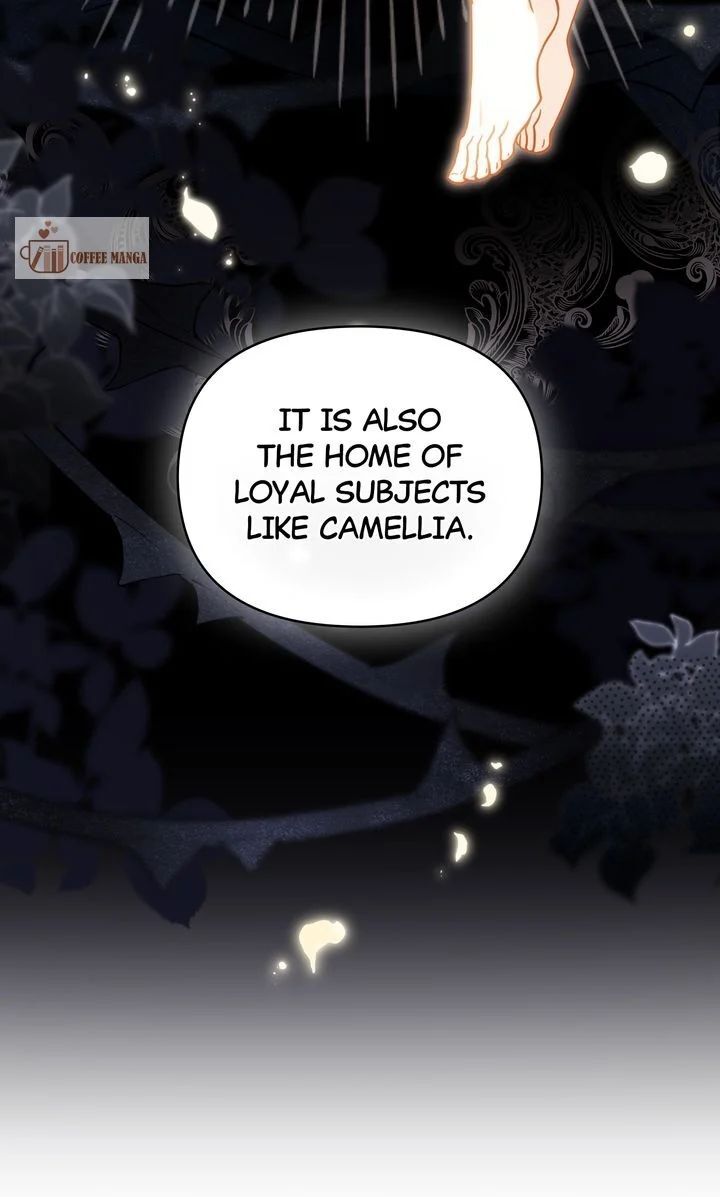 Read Finding Camellia Manga Online