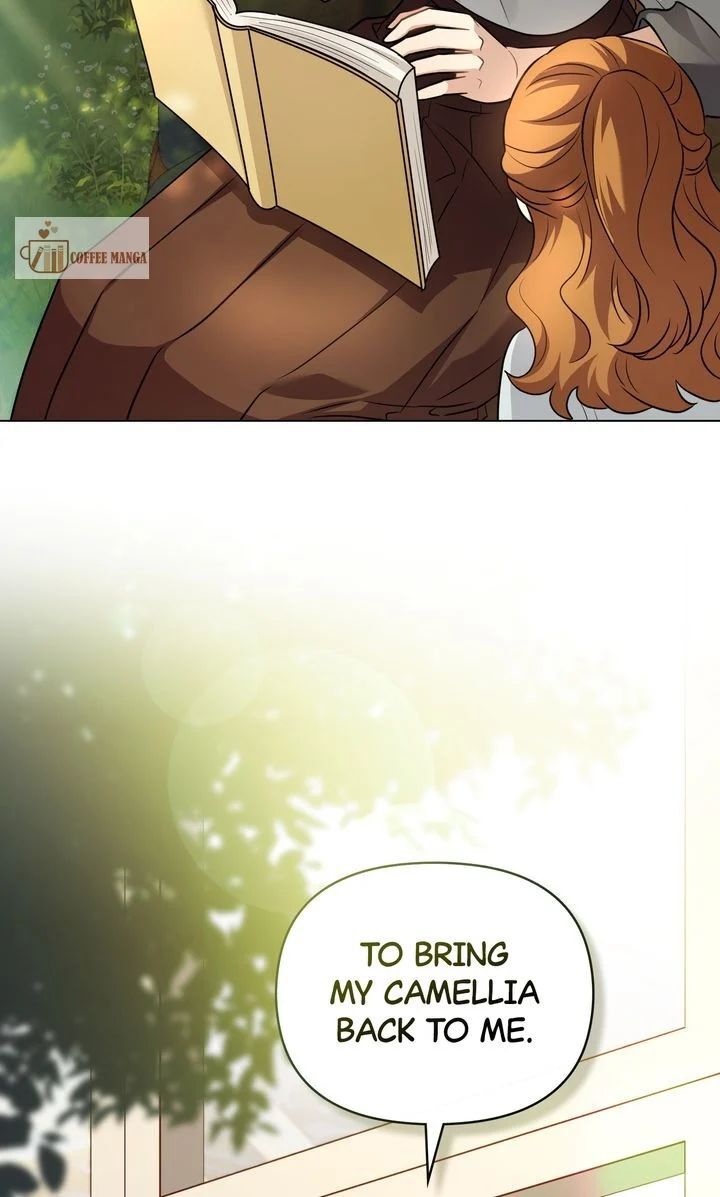 Read Finding Camellia Manga Online