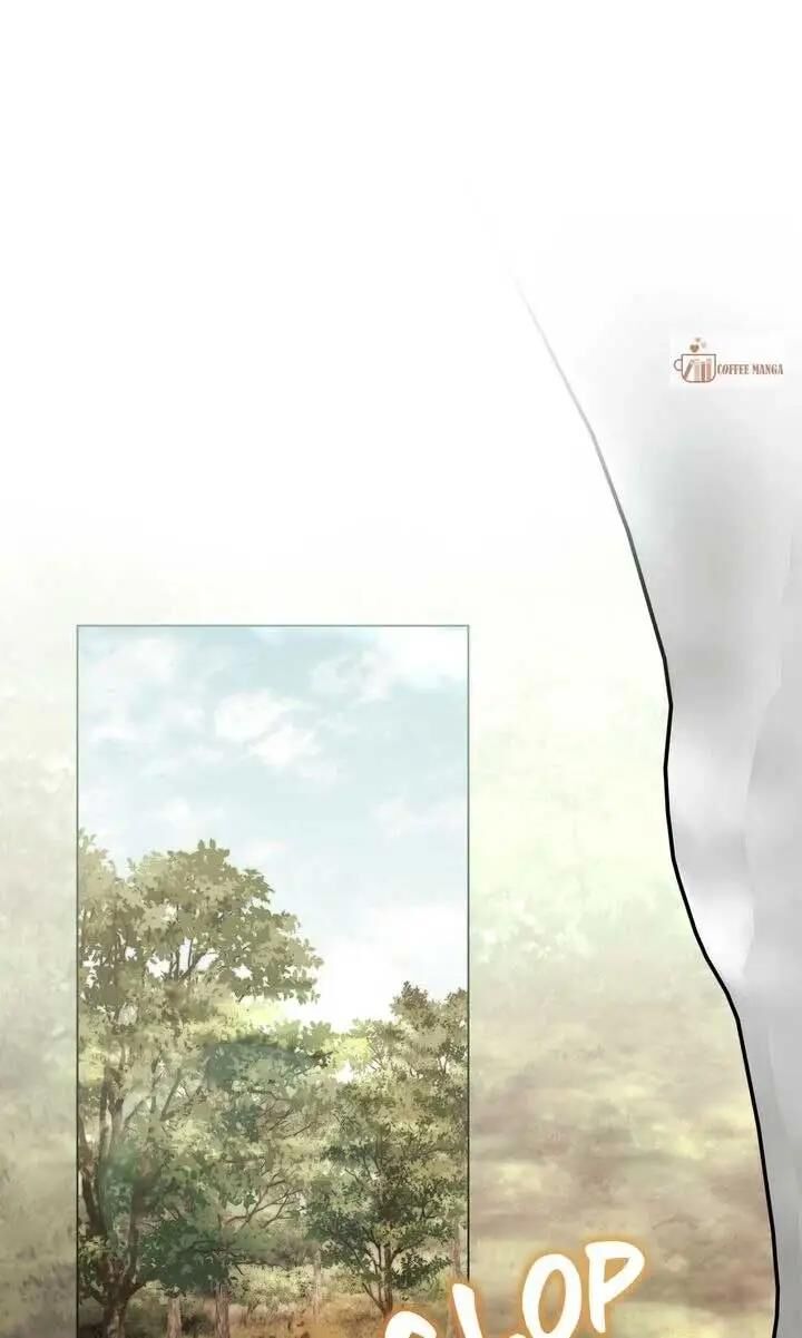 Read Finding Camellia Manga Online
