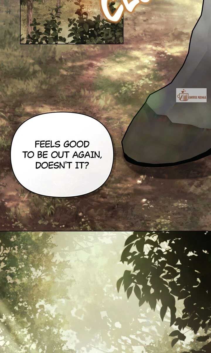 Read Finding Camellia Manga Online
