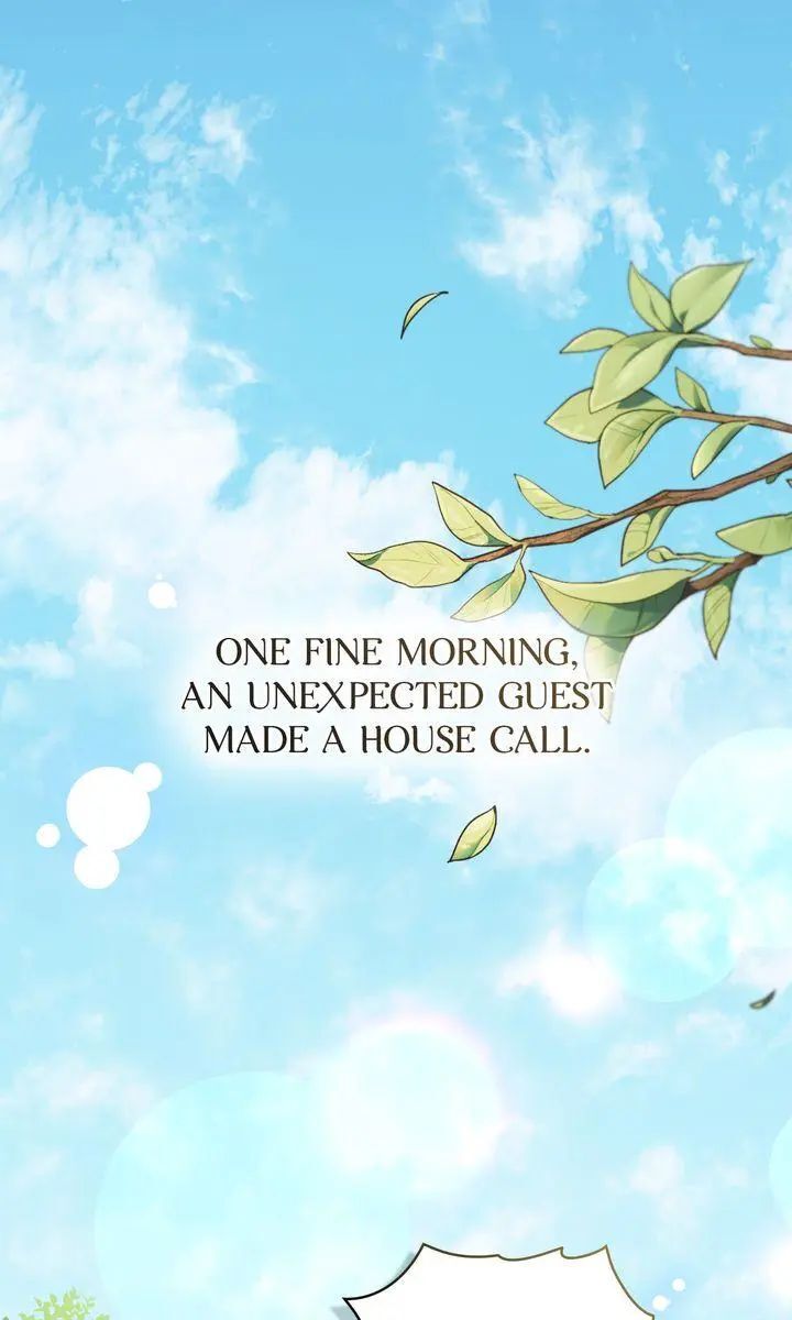 Read Finding Camellia Manga Online