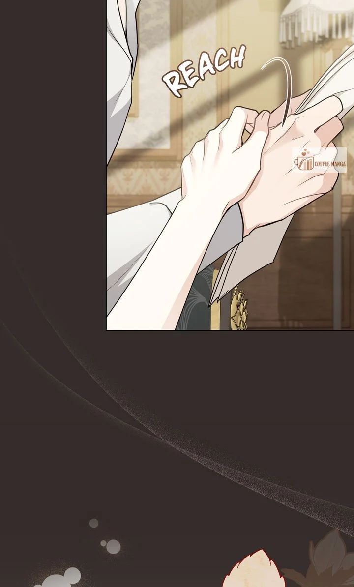 Read Finding Camellia Manga Online
