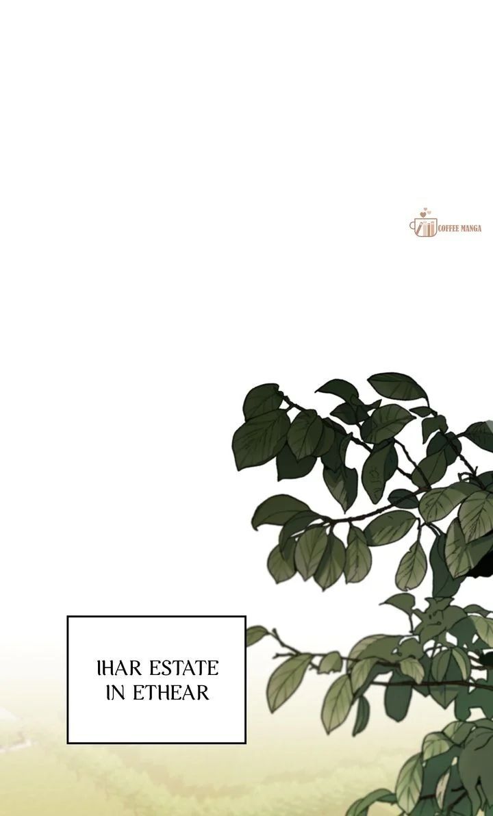 Read Finding Camellia Manga Online