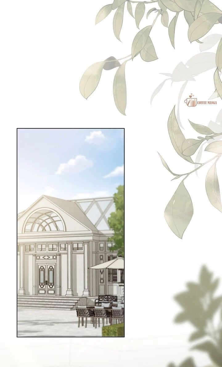 Read Finding Camellia Manga Online