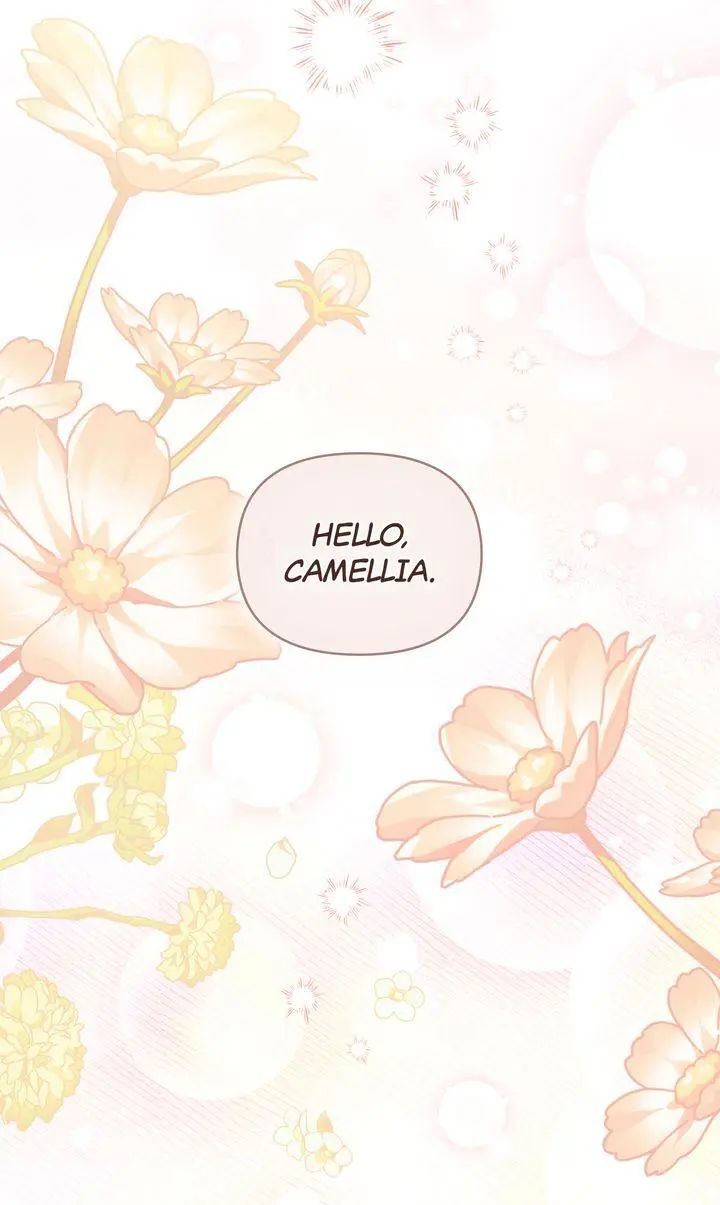 Read Finding Camellia Manga Online