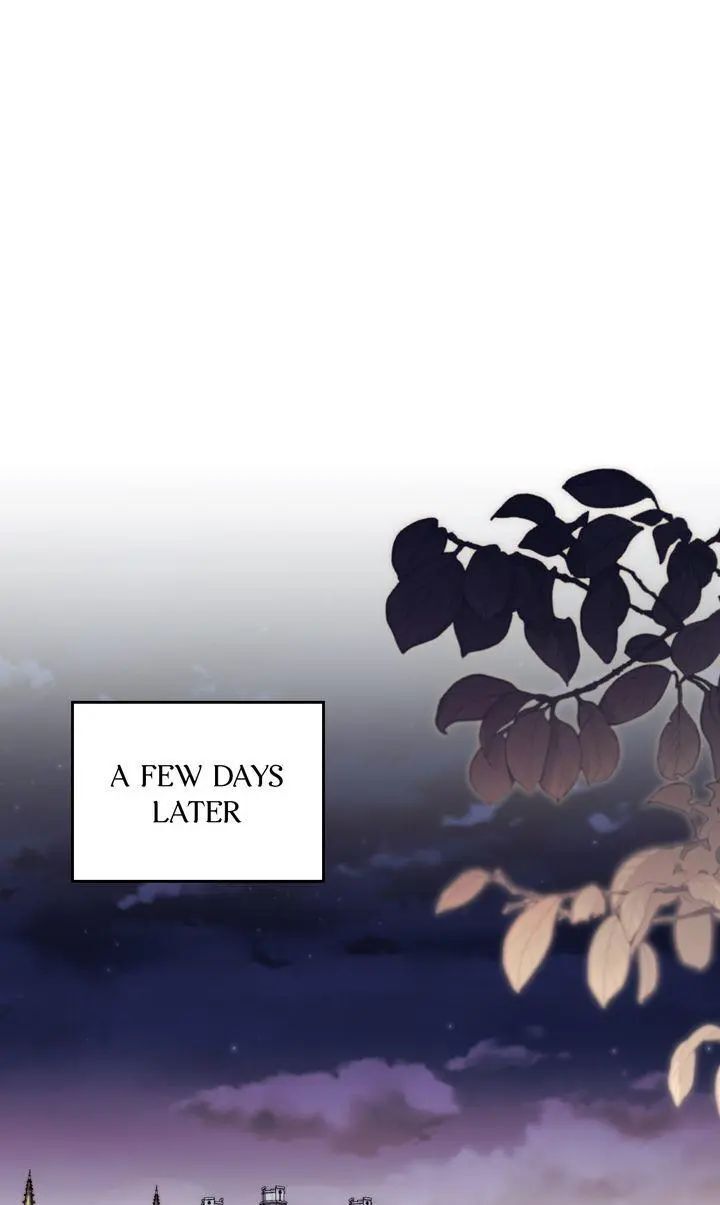 Read Finding Camellia Manga Online