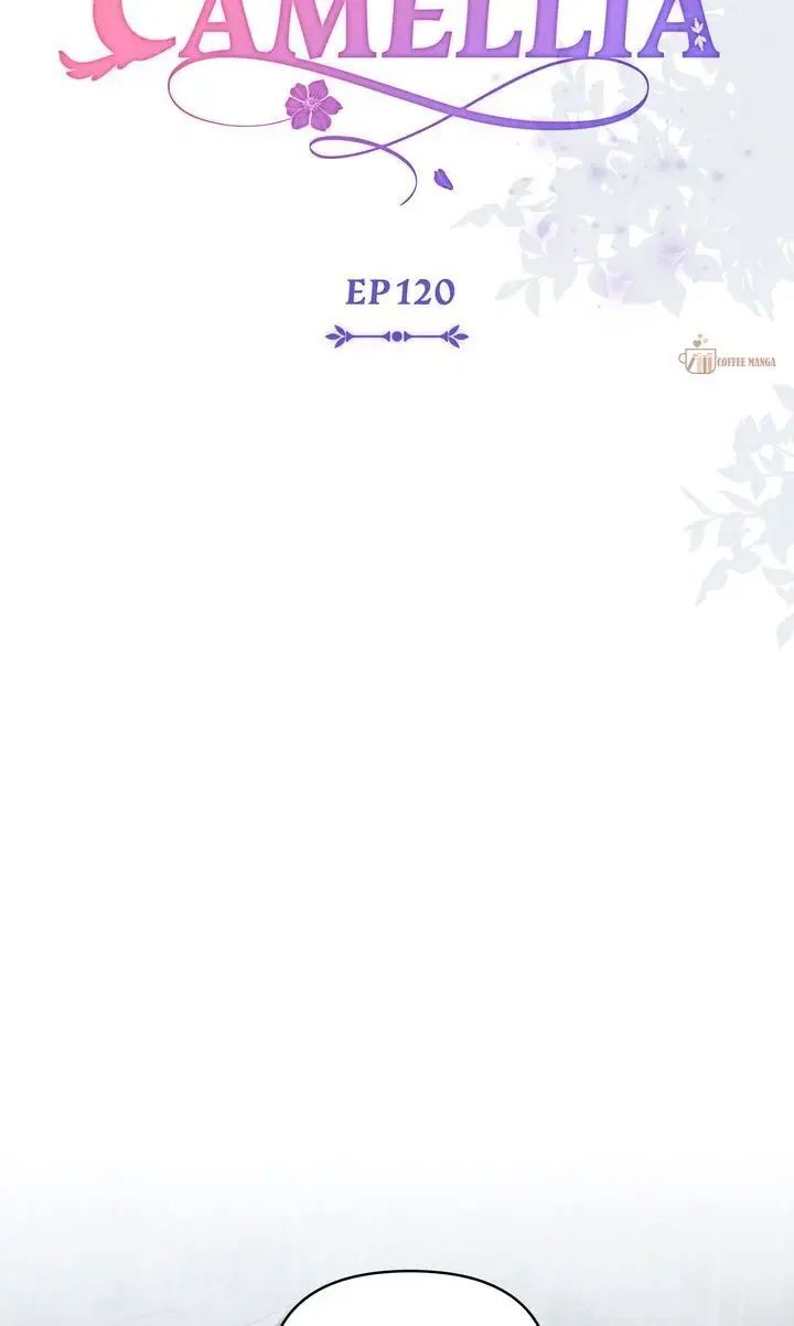 Read Finding Camellia Manga Online