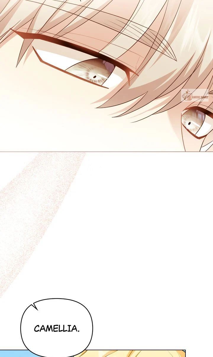 Read Finding Camellia Manga Online