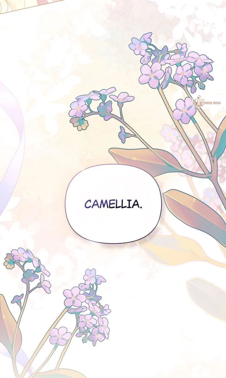 Read Finding Camellia Manga Online
