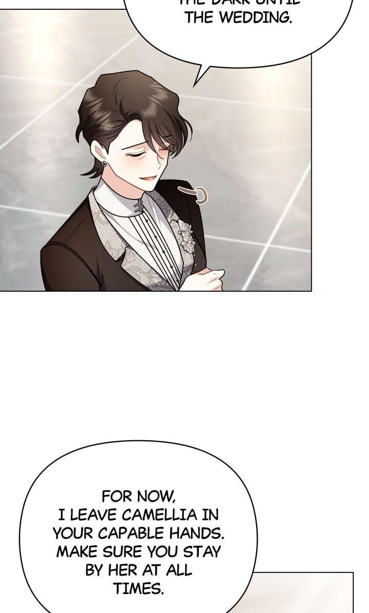 Read Finding Camellia Manga Online
