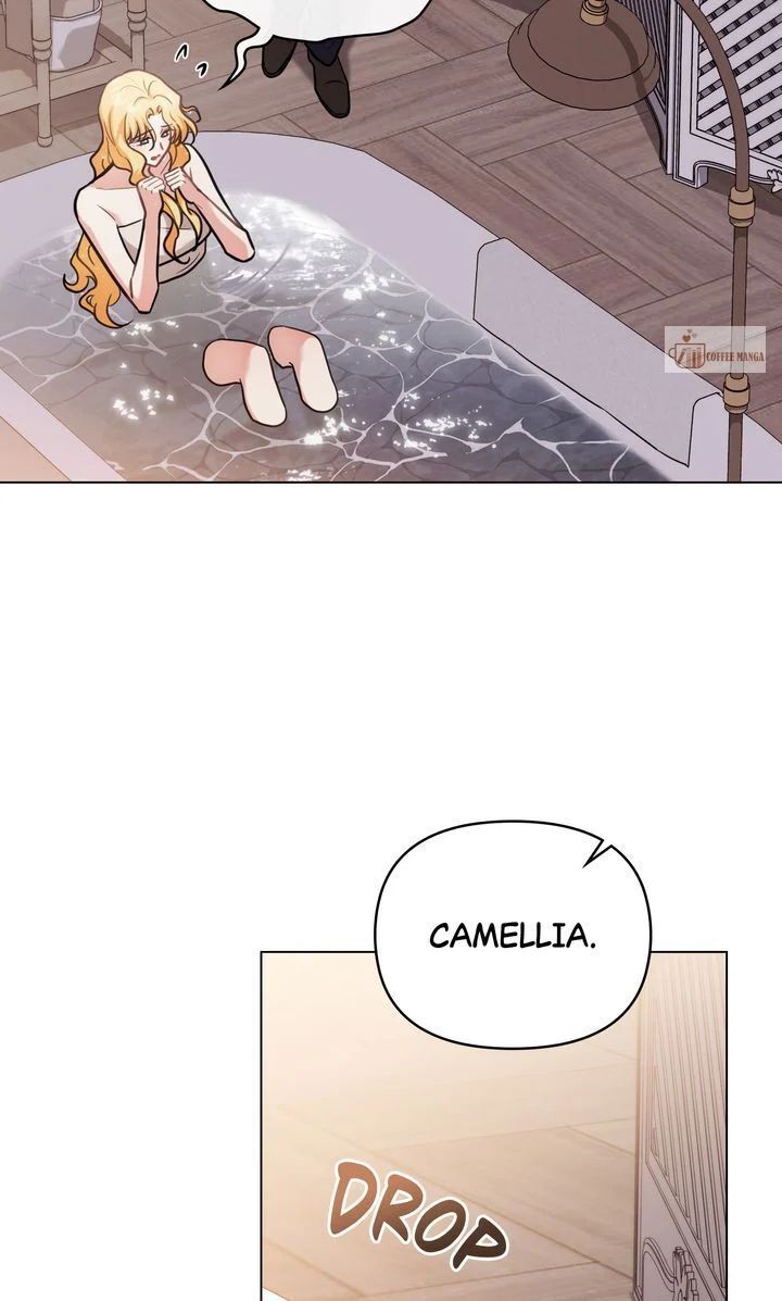 Read Finding Camellia Manga Online