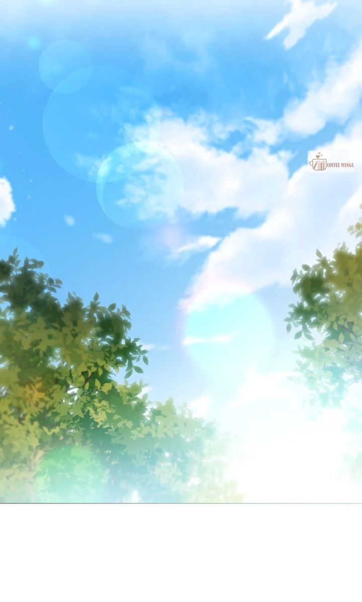 Read Finding Camellia Manga Online