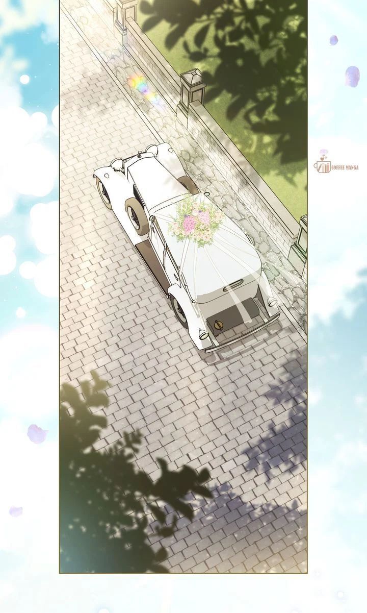 Read Finding Camellia Manga Online