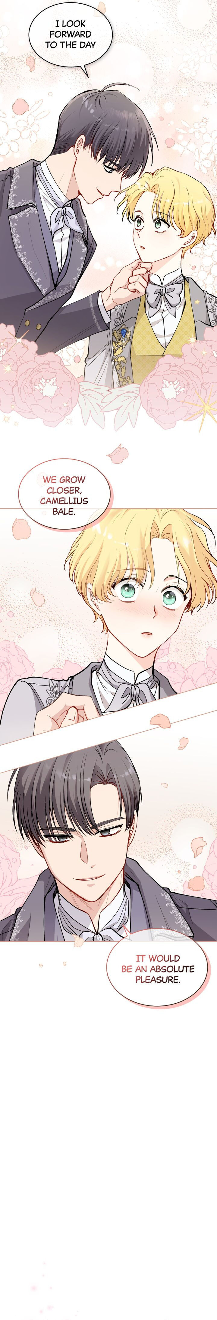 Read Finding Camellia Manga Online