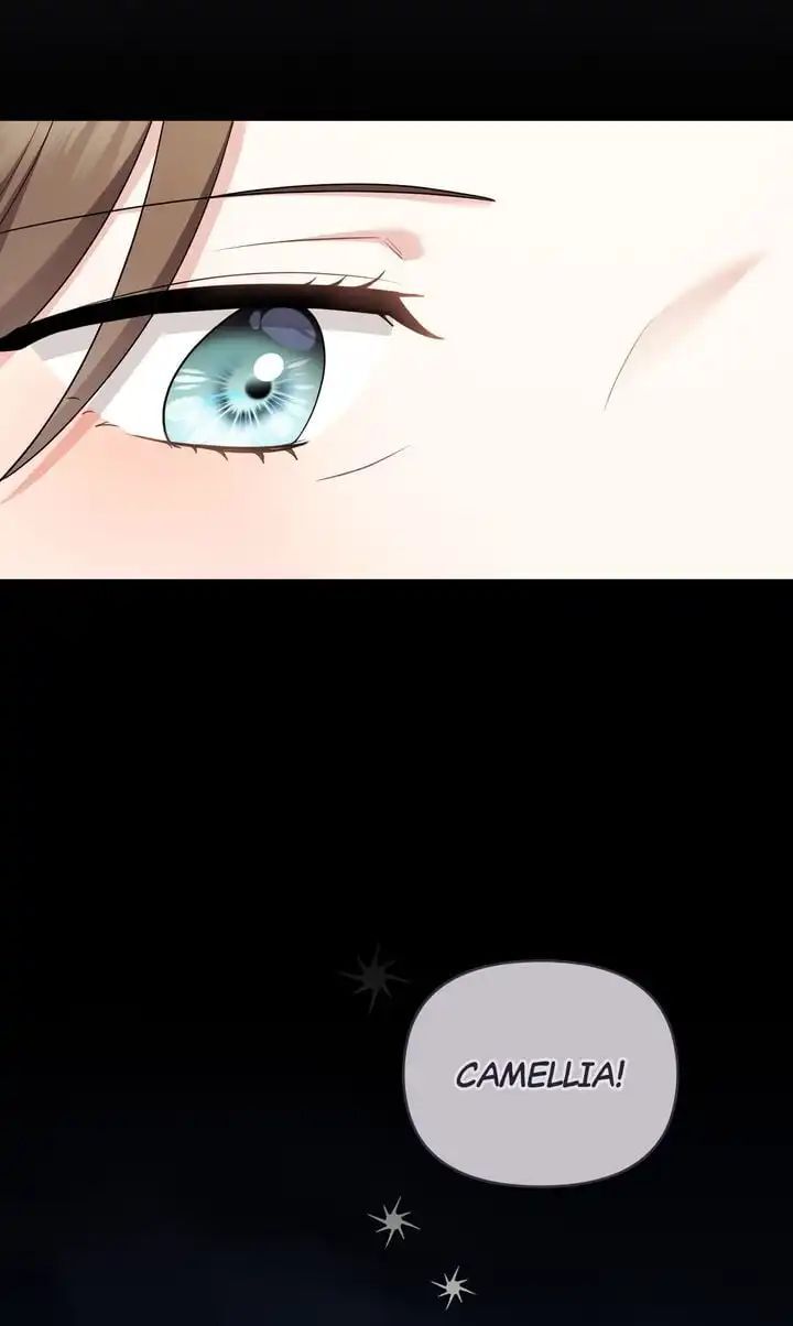 Read Finding Camellia Manga Online