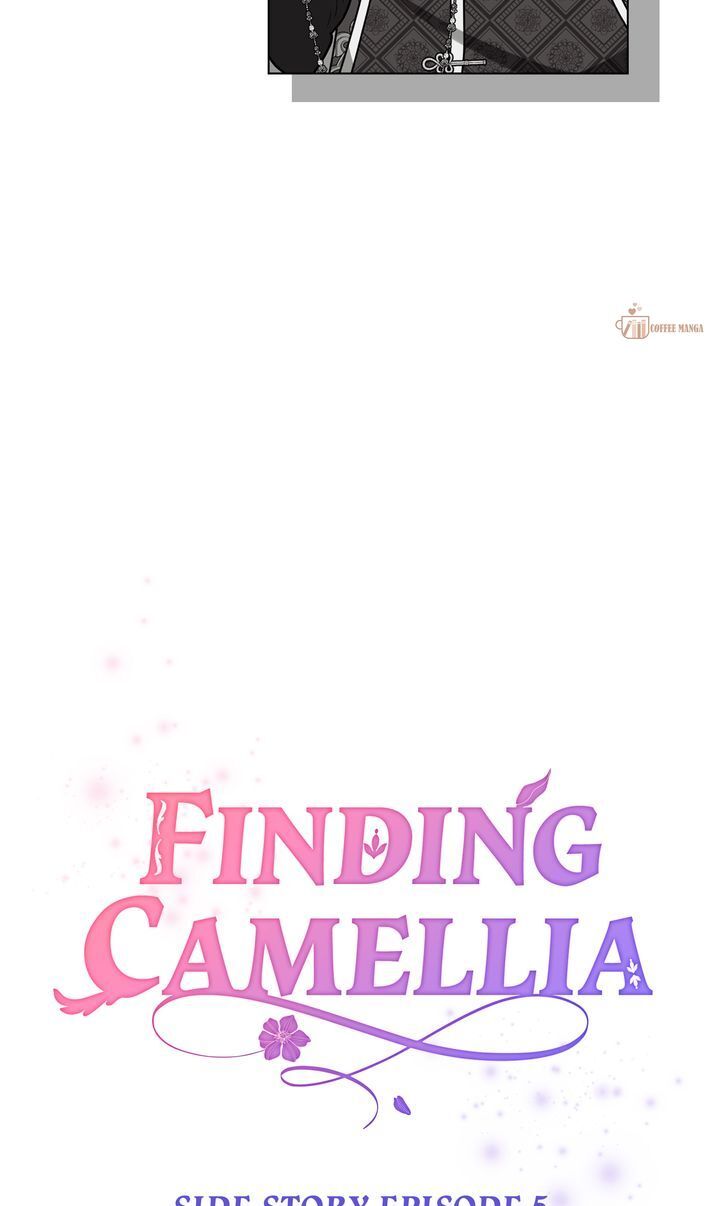 Read Finding Camellia Manga Online