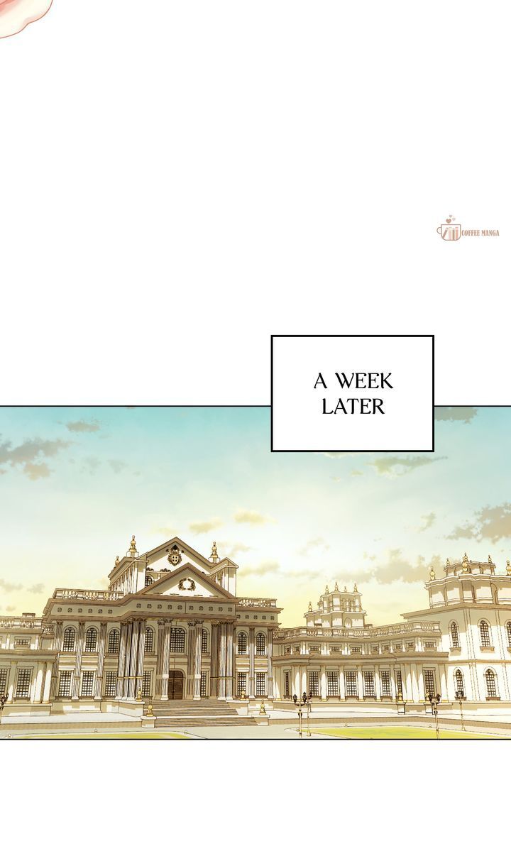 Read Finding Camellia Manga Online