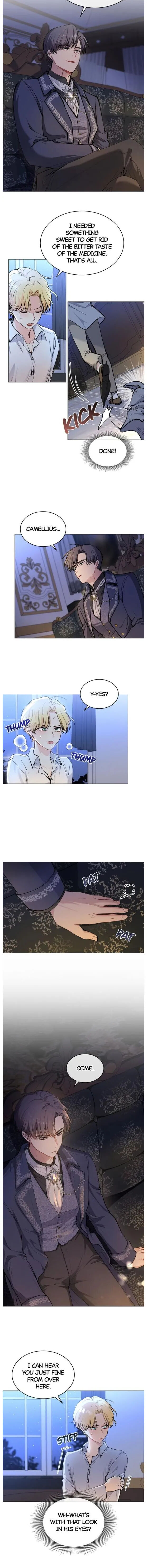 Read Finding Camellia Manga Online