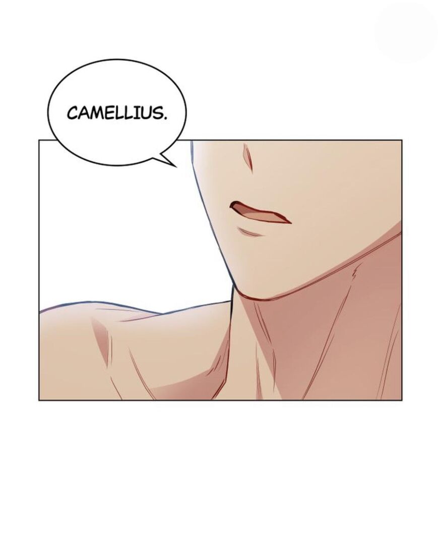 Read Finding Camellia Manga Online
