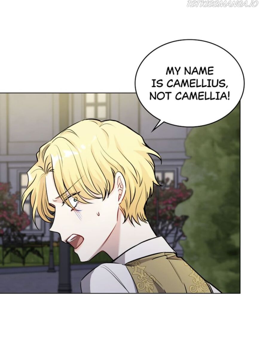 Read Finding Camellia Manga Online