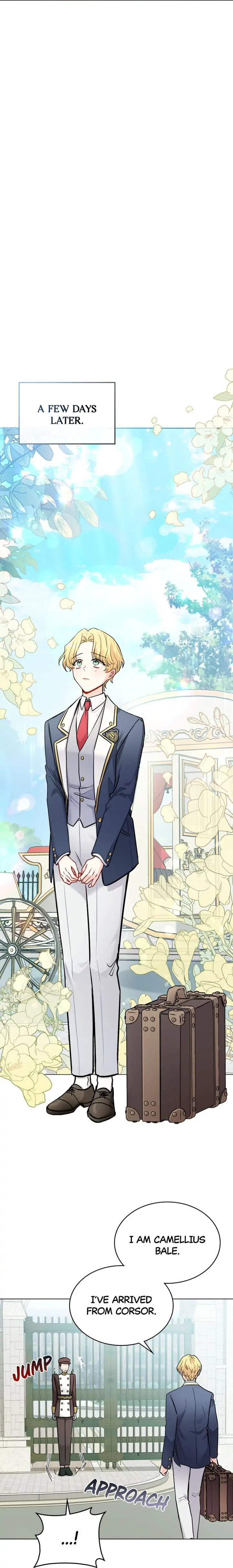 Read Finding Camellia Manga Online