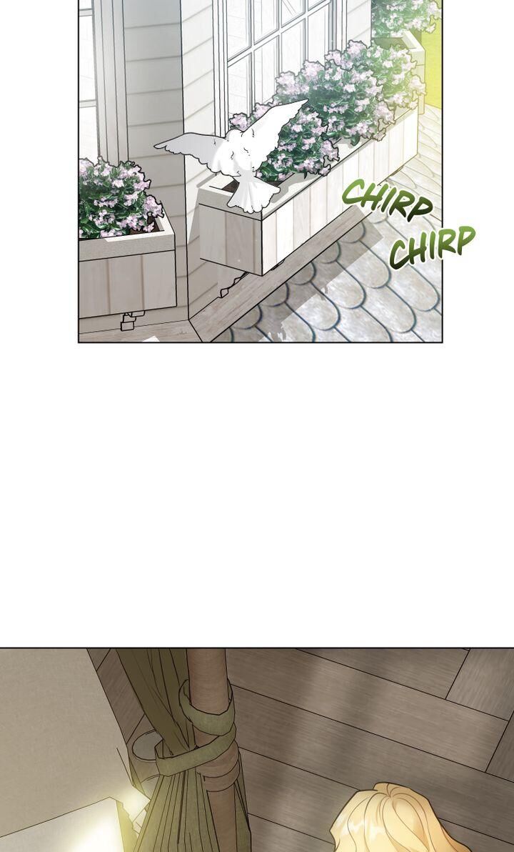 Read Finding Camellia Manga Online