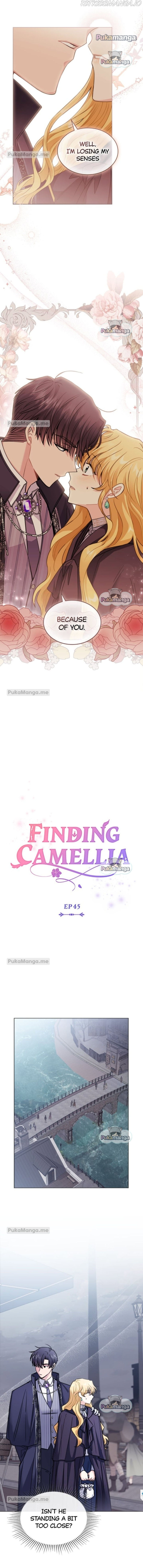 Read Finding Camellia Manga Online