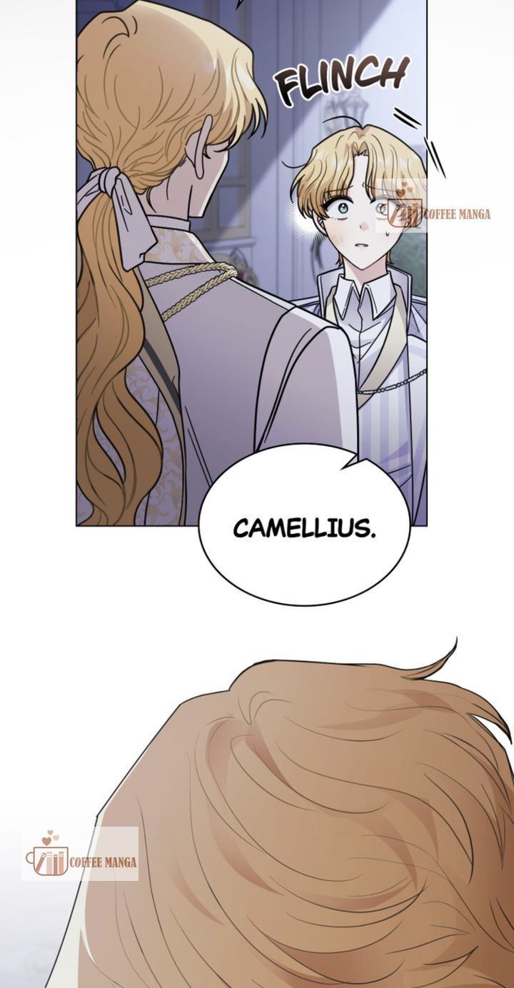 Read Finding Camellia Manga Online