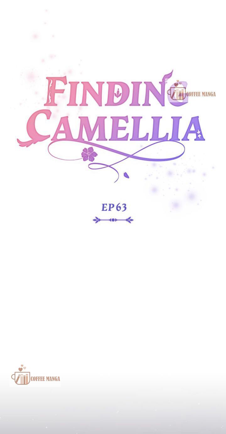Read Finding Camellia Manga Online
