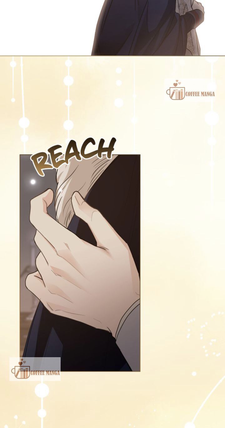 Read Finding Camellia Manga Online