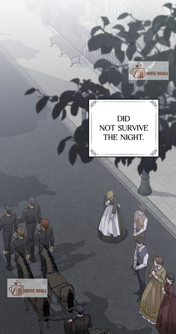 Read Finding Camellia Manga Online