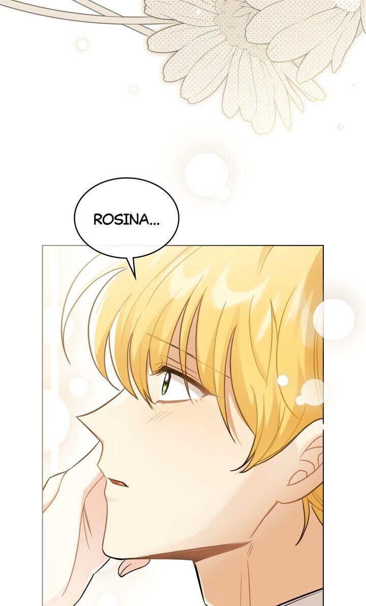 Read Finding Camellia Manga Online