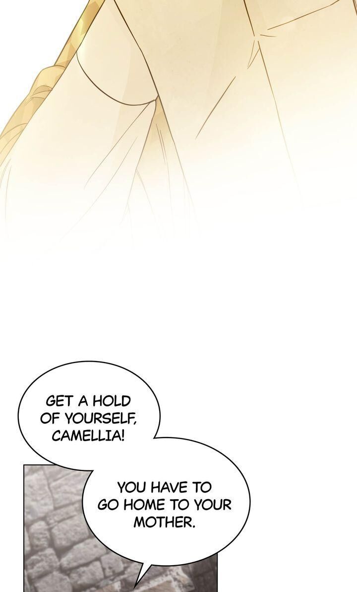 Read Finding Camellia Manga Online