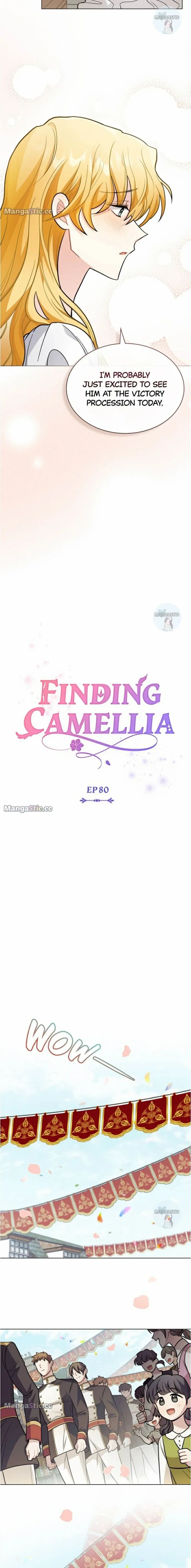 Read Finding Camellia Manga Online