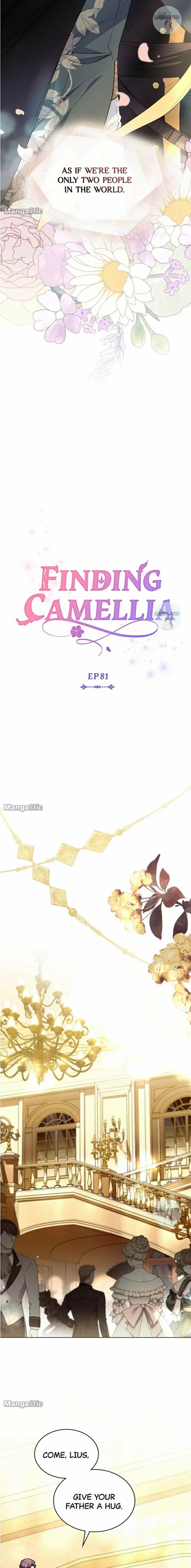 Read Finding Camellia Manga Online