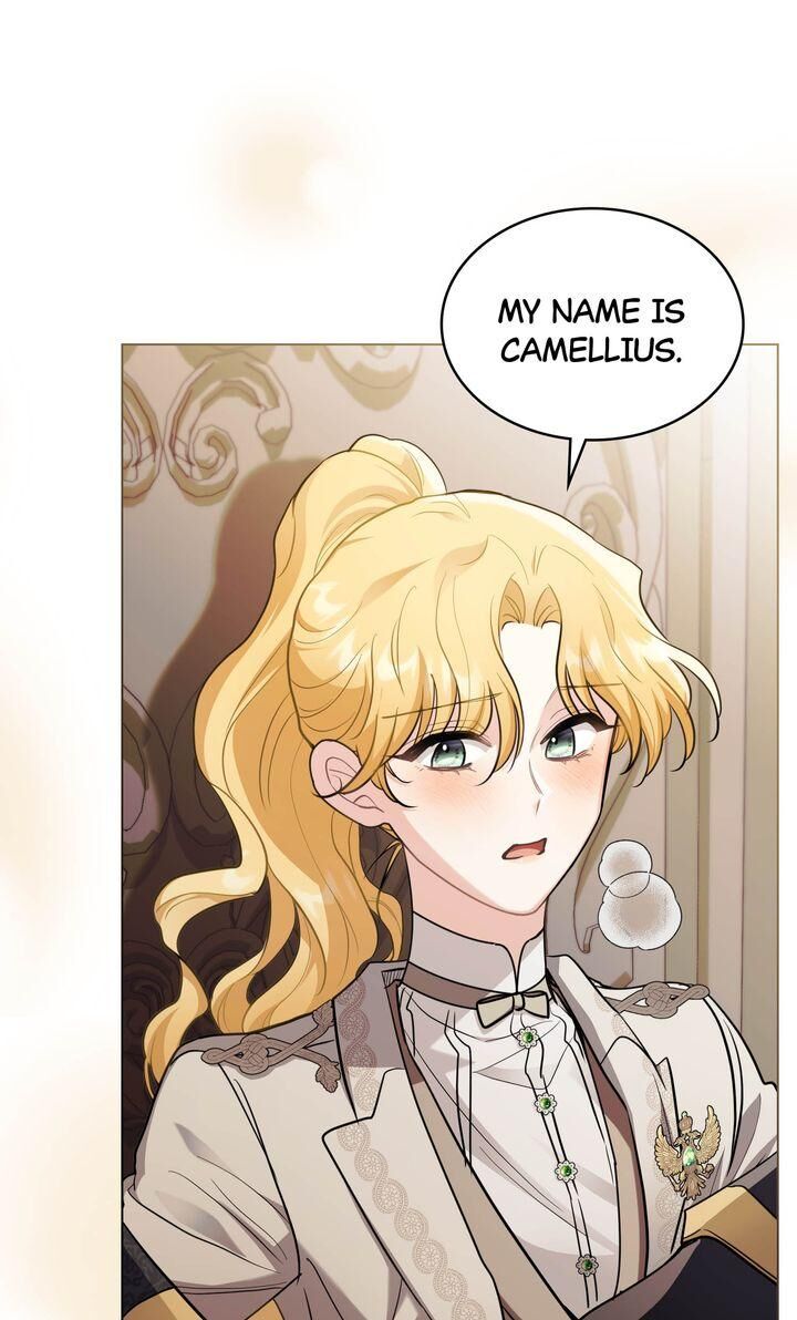 Read Finding Camellia Manga Online