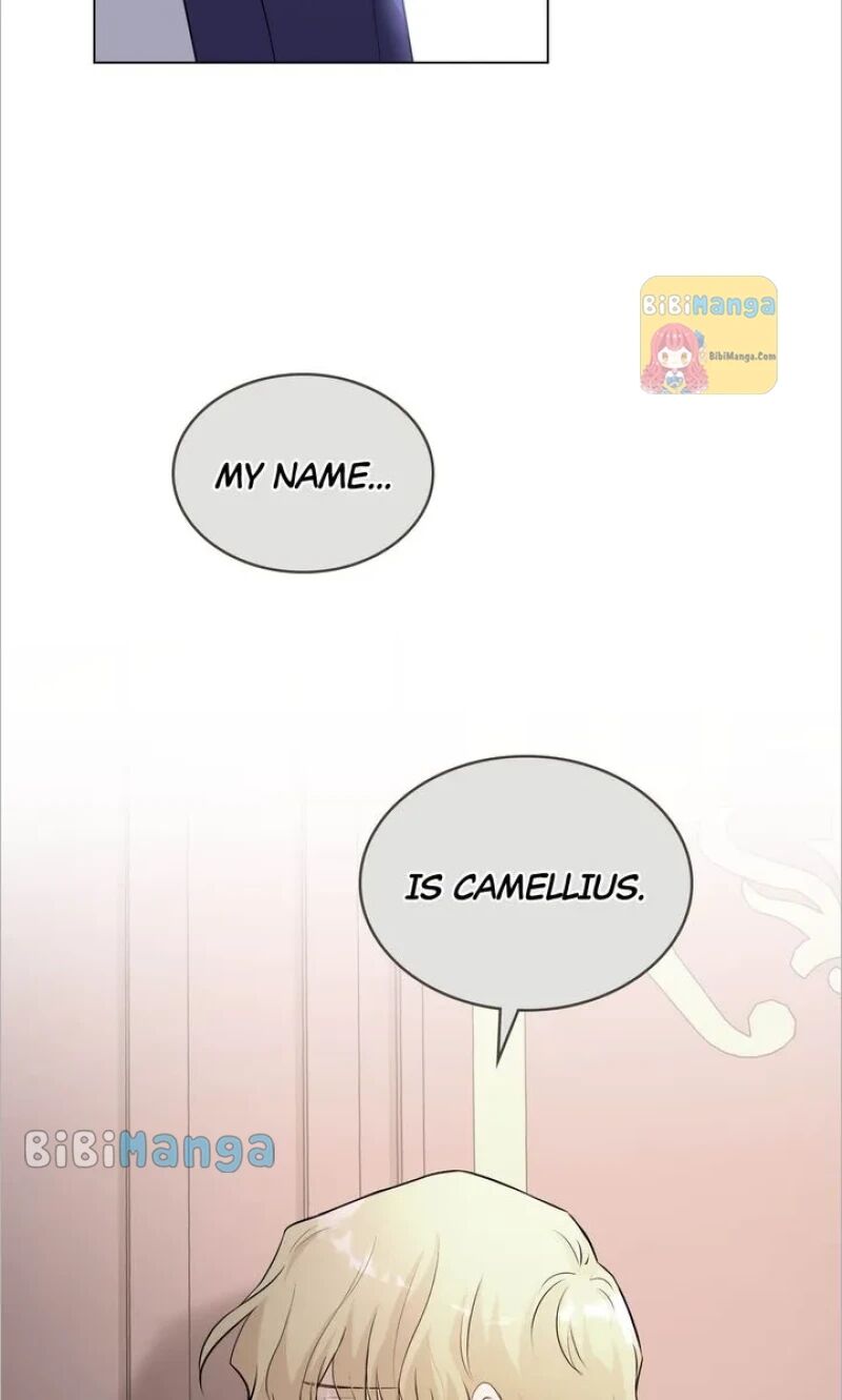 Read Finding Camellia Manga Online