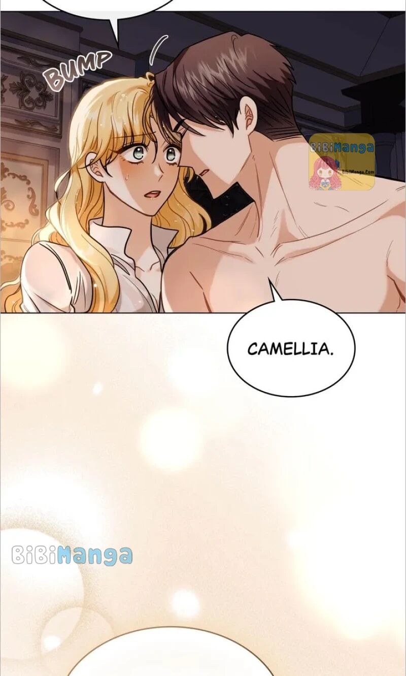 Read Finding Camellia Manga Online