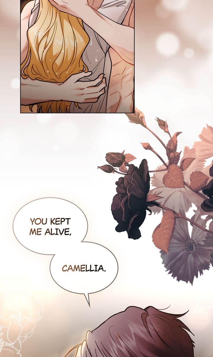 Read Finding Camellia Manga Online