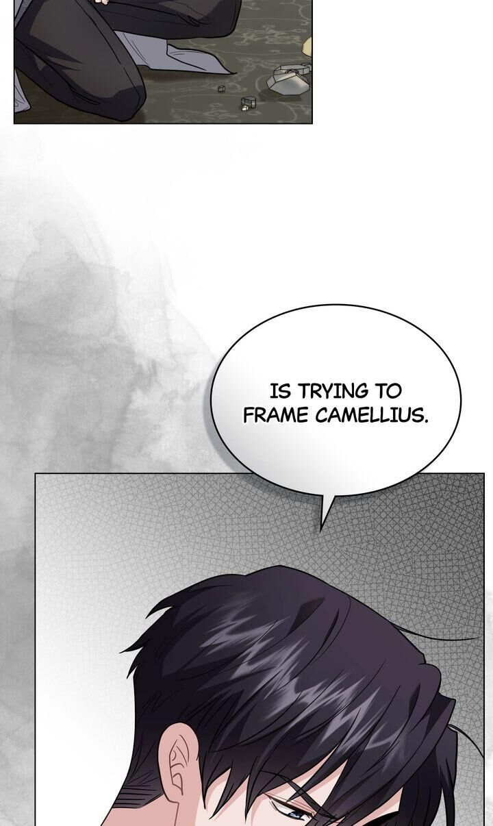 Read Finding Camellia Manga Online