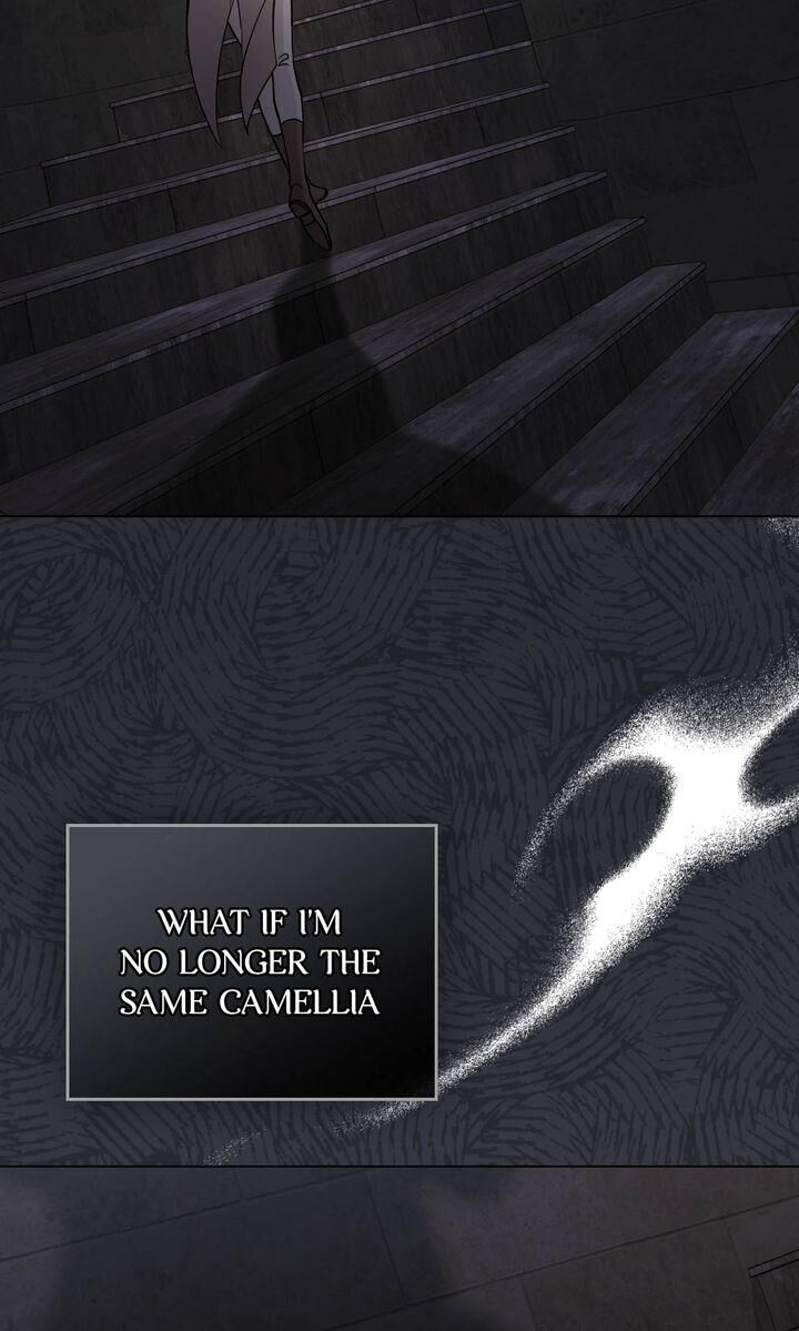 Read Finding Camellia Manga Online