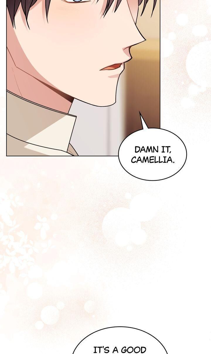 Read Finding Camellia Manga Online