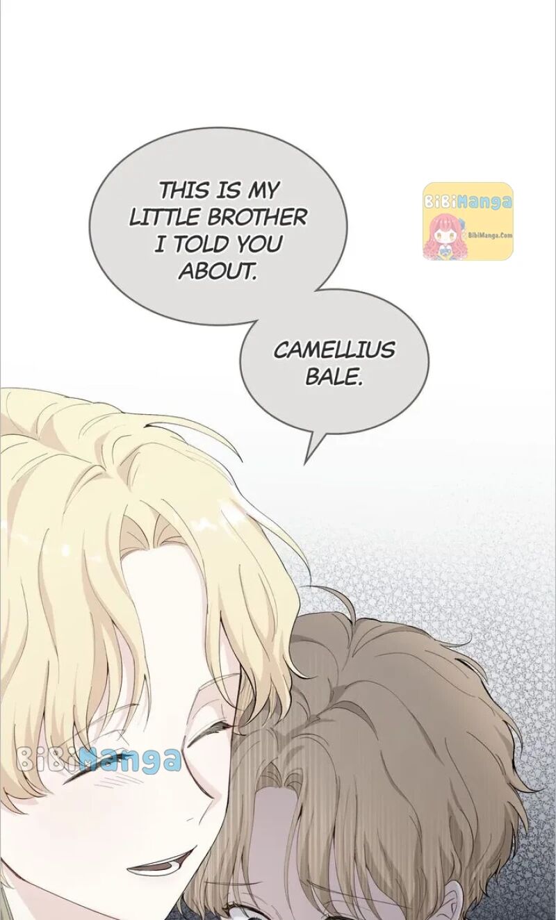 Read Finding Camellia Manga Online