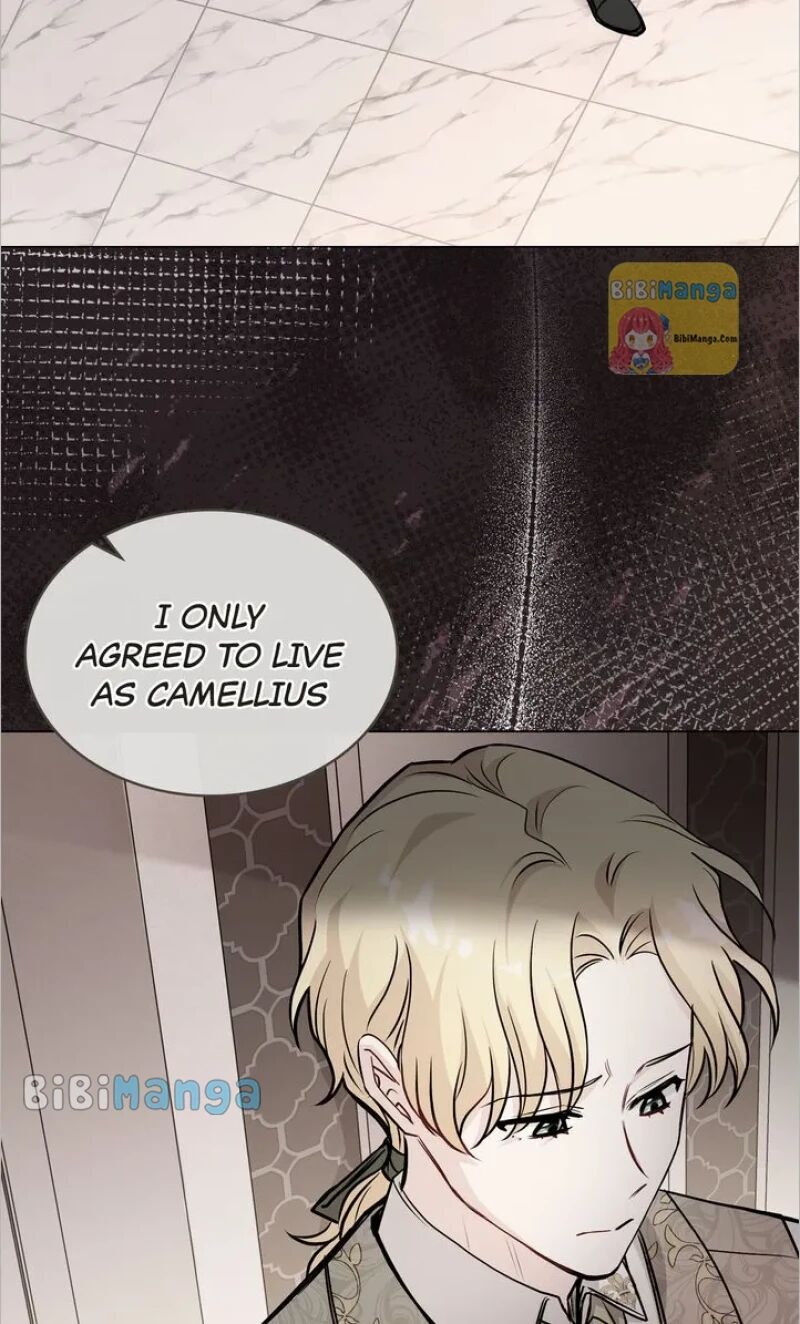 Read Finding Camellia Manga Online