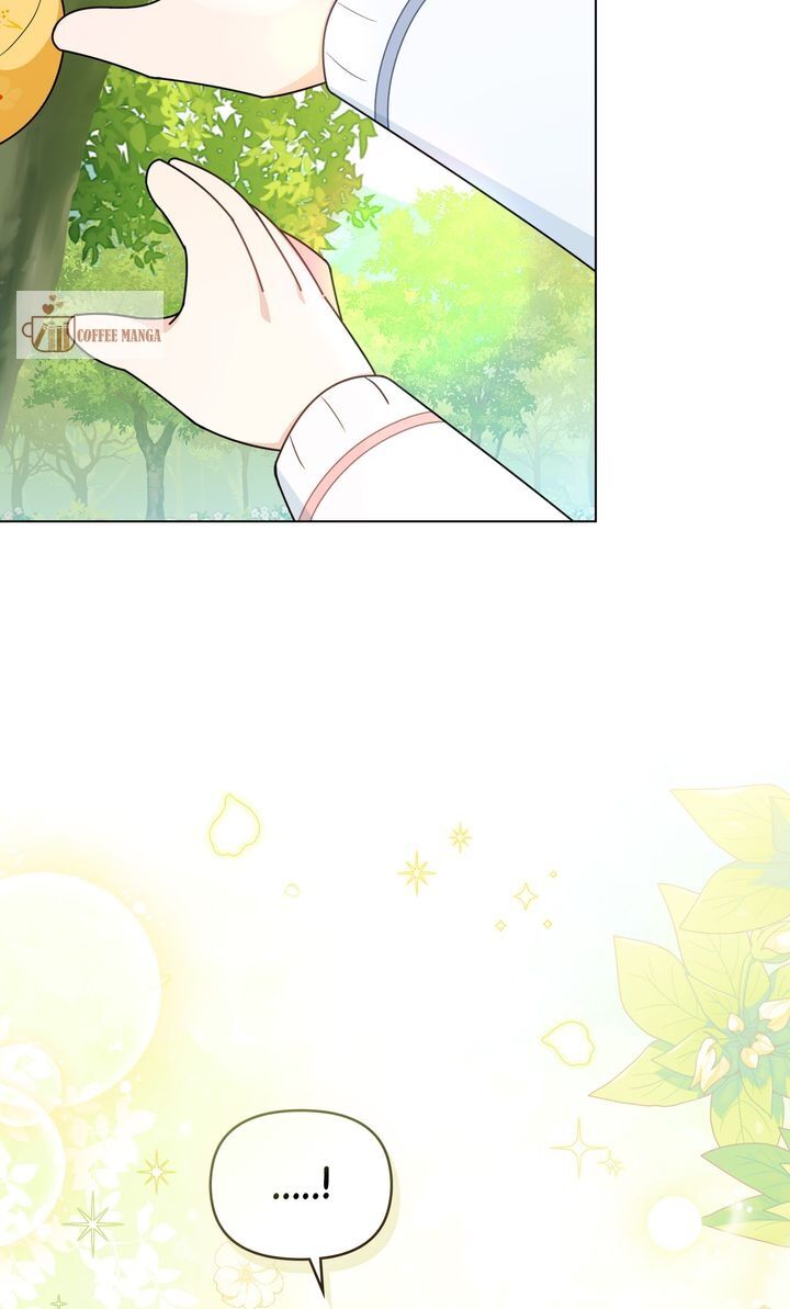 Read Finding Camellia Manga Online