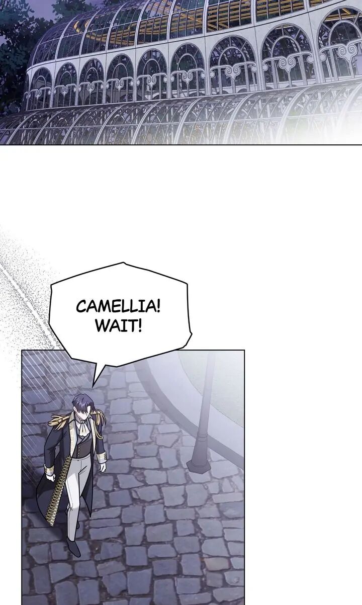 Read Finding Camellia Manga Online