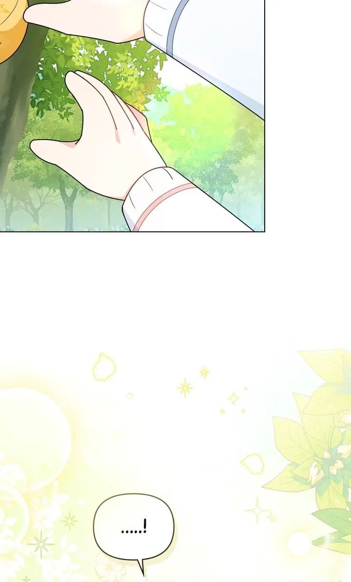 Read Finding Camellia Manga Online